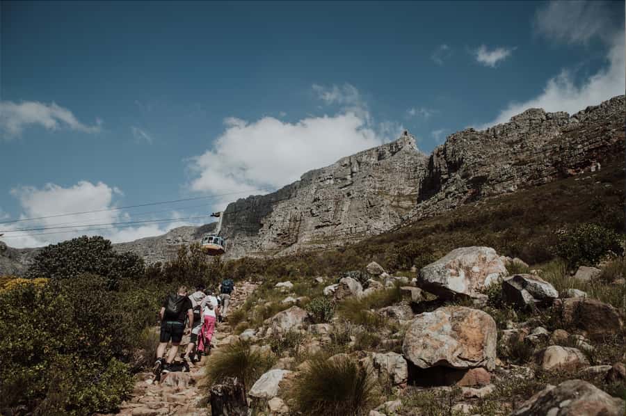 Cape Town: Table Mountain Hike with an Experienced Guide - India Venster is for confident hikers