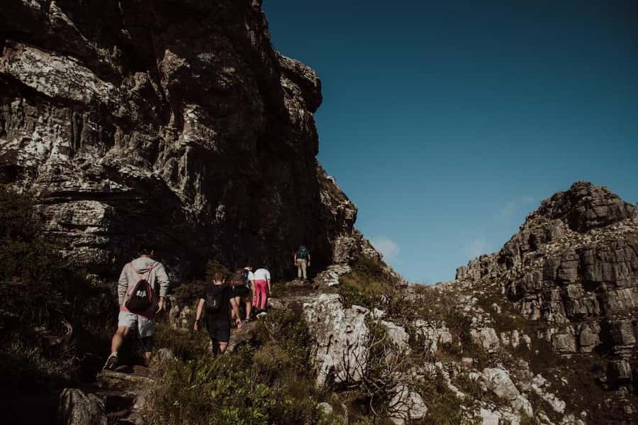 Cape Town: Table Mountain Hike with an Experienced Guide - What Donovan adds to the mountain walk