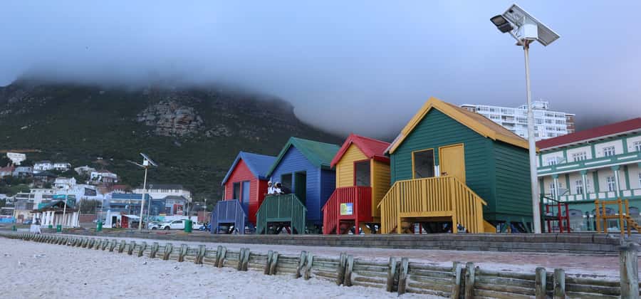 Cape Town: Table Mountain, Penguins & Cape Point Group Tour - Boulders Beach and the African penguin colony