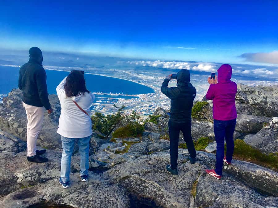Cape Town: Table Mountain, Penguins & Cape Point Shared Tour - Why this Cape Peninsula tour works