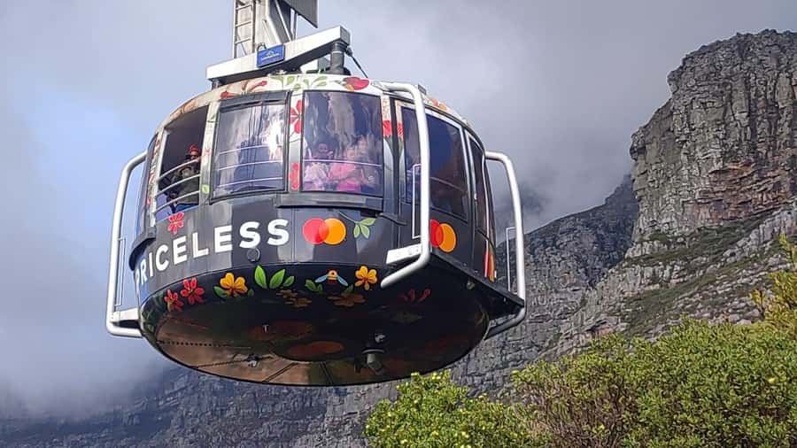 Cape Town: Table MT, Cape Point & Penguins Instagram Tour - Key points to know before booking