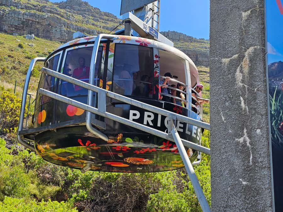 Cape Town: Table MT, Cape Point & Penguins Instagram Tour - From Camps Bay to Hout Bay by the Atlantic coast