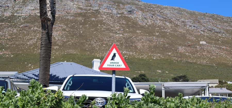 Cape Town: Tour Cape Point & Boulders Beach Penguin Day Trip - Muizenberg and the ride home