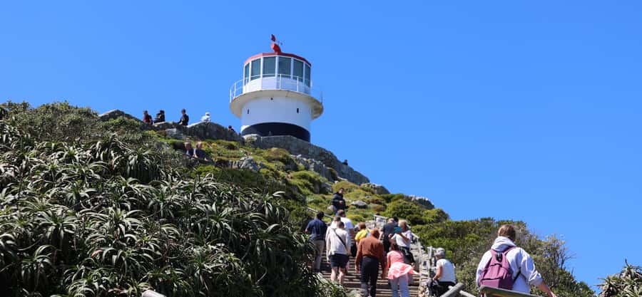 Cape Town: Tour Cape Point & Boulders Beach Penguin Day Trip - Bo-Kaap and the first taste of Cape Town