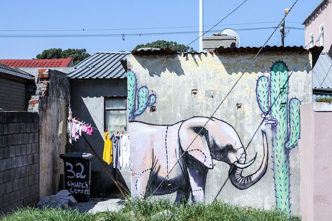 Cape Town - Township Tour with Lunch - What the guides add to the experience
