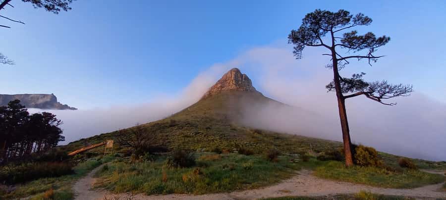 Cape Town: Trail Run Lion's Head and Signal Hill Morning - Signal Hill views, Atlantic air, and a gentle descent