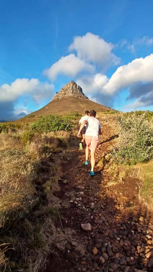 Cape Town: Trail Run Lion's Head and Signal Hill Morning - Why Cape Flora adds more than scenery