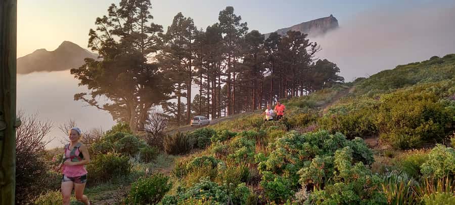 Cape Town: Trail Run Lion's Head and Signal Hill Morning - Following the spine toward Signal Hill