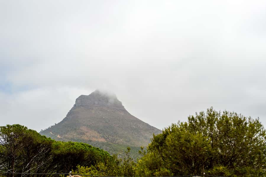 Cape Town Uncovered : Half-Day City Tour and Table Mountain - Signal Hill and the Atlantic-facing roads