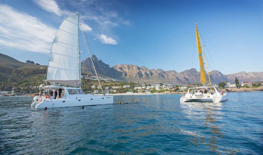 Cape Town: V&A Waterfront 1-Hour Scenic Cruise - Finding the IQ Catamaran at the V&A Waterfront