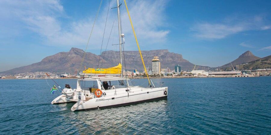 Cape Town: V&A Waterfront 1-Hour Scenic Cruise - The welcome drink and onboard bar