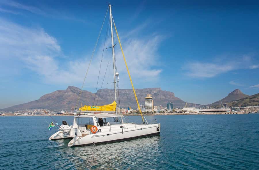 Cape Town: V&A Waterfront Gin Voyage Cruise - Choosing your best departure time