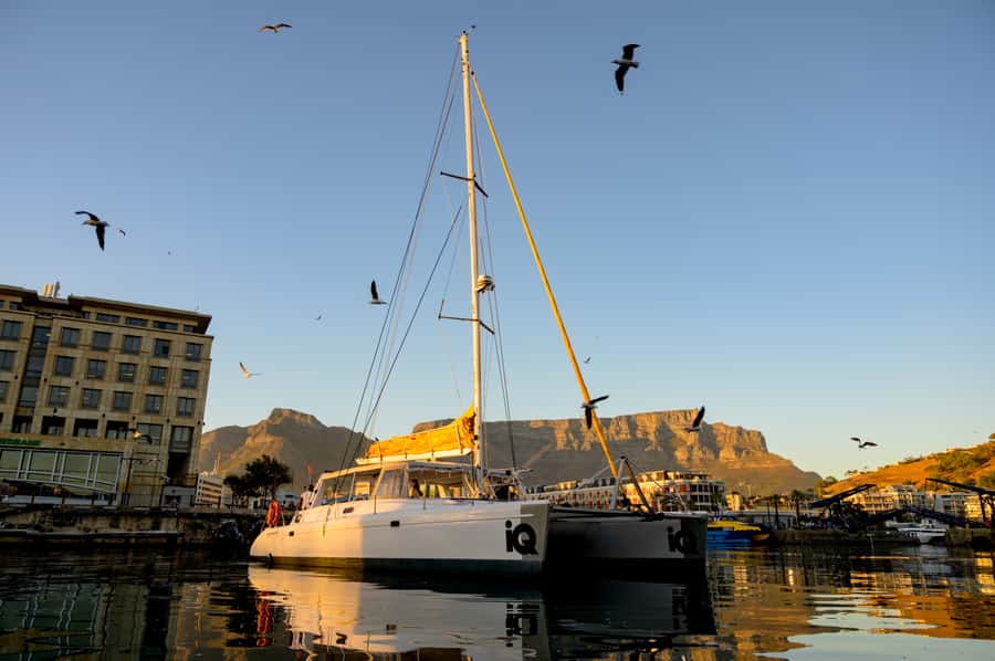 Cape Town: V&A Waterfront Gin Voyage Cruise - Setting out from the V&A Waterfront