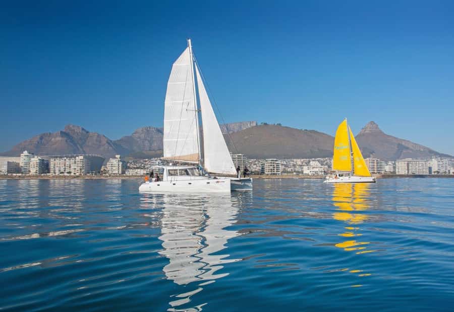 Cape Town: V&A Waterfront Gin Voyage Cruise - Wildlife sightings are a bonus