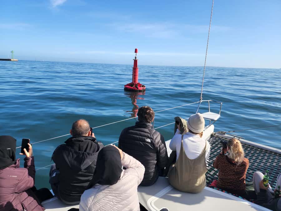 Cape Town: V&A Waterfront Gin Voyage Cruise - Is $37 good value for one hour?