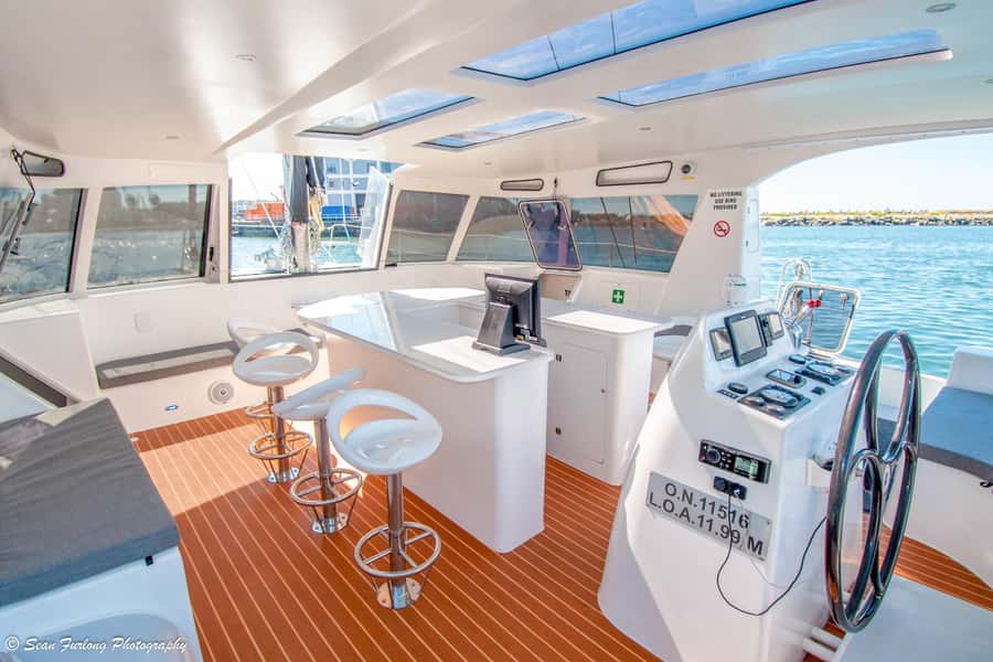 Cape Town Waterfront and Bay: Sailing Trip - Why one hour on Table Bay is time well spent