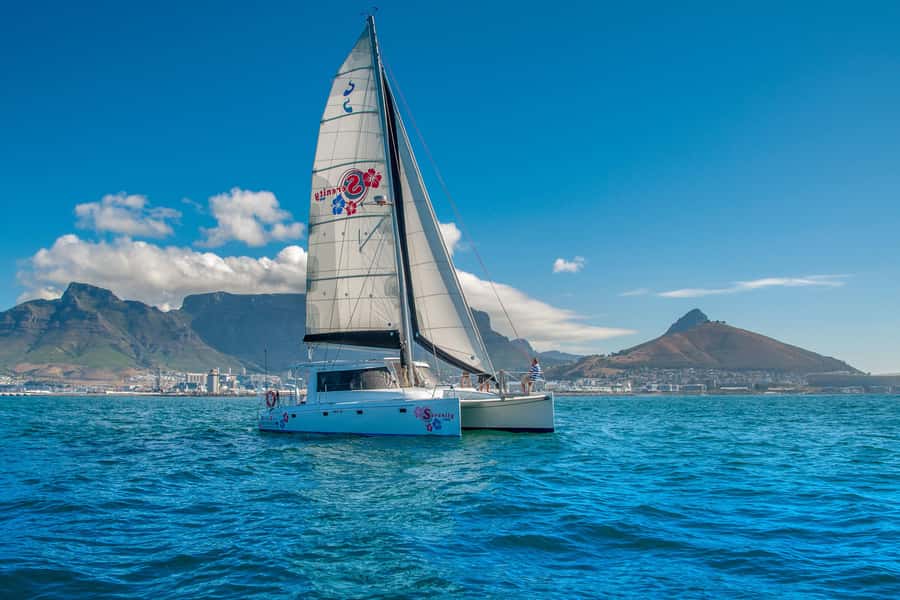 Cape Town Waterfront and Bay: Sailing Trip - What happens after leaving the harbor