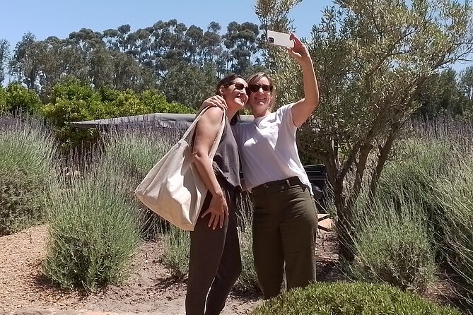 Cape Town Wine Tasting - Why private transport matters on a wine day