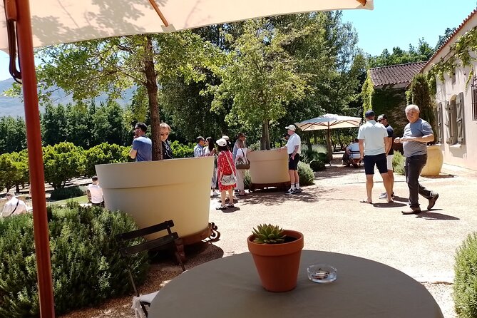 Cape Town Wine Tasting - Franschhoek: French names and the wine tram