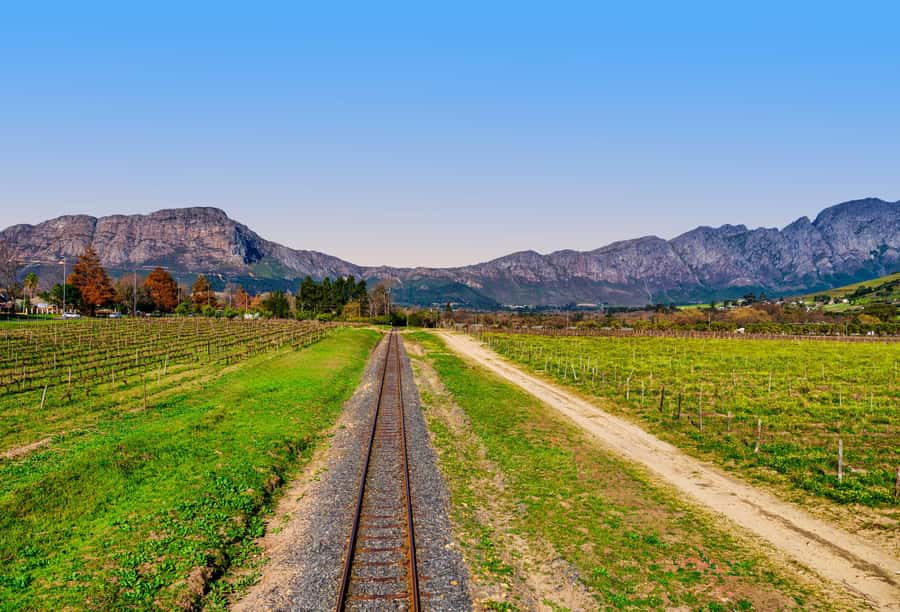 Cape Town: Wine Tram & Winelands Tour with Tastings & Pickup - Is $230 good value?