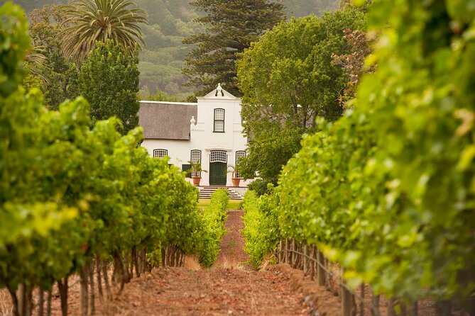 Cape Town: Winelands Private Half Day Tour - Pickup, transport, and the half-day schedule