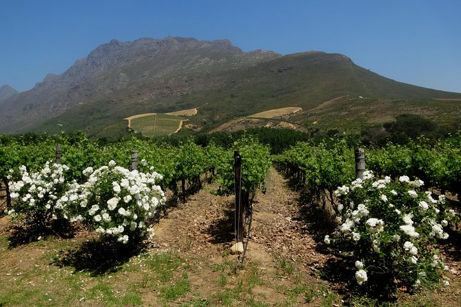 Cape Town Winelands Stellenbosch Private Afternoon Tour - Lanzerac and the wine-chocolate pairing
