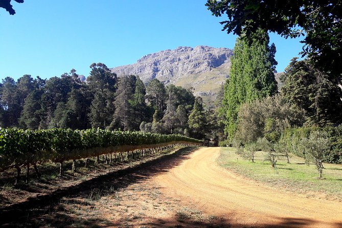 Cape Town Winelands Stellenbosch Private Afternoon Tour - Timing, group size, and the real value