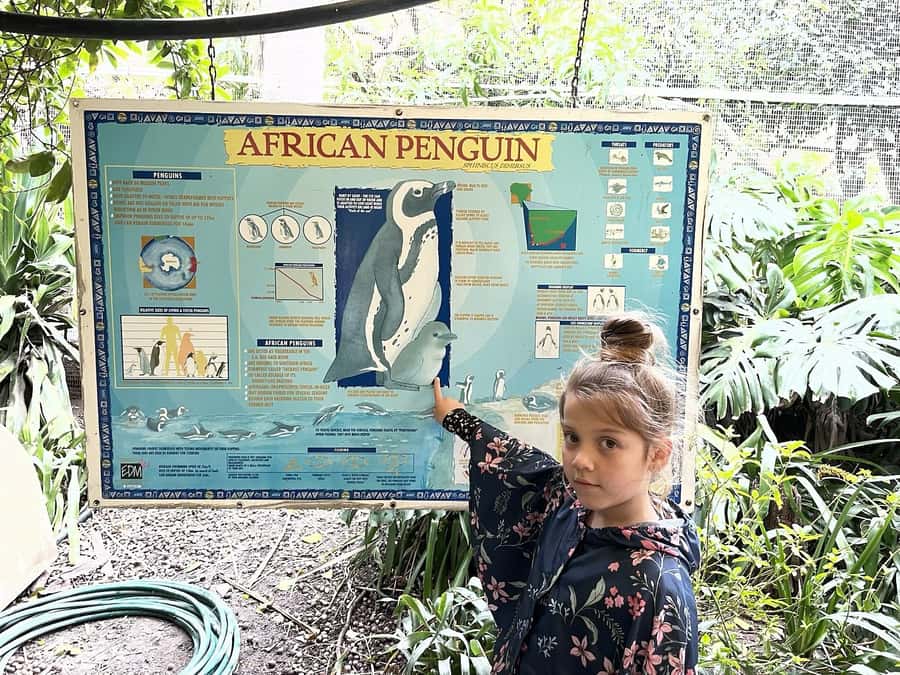 Cape Town: World of Birds & Animal Sanctuary - Why the $10 admission is good value