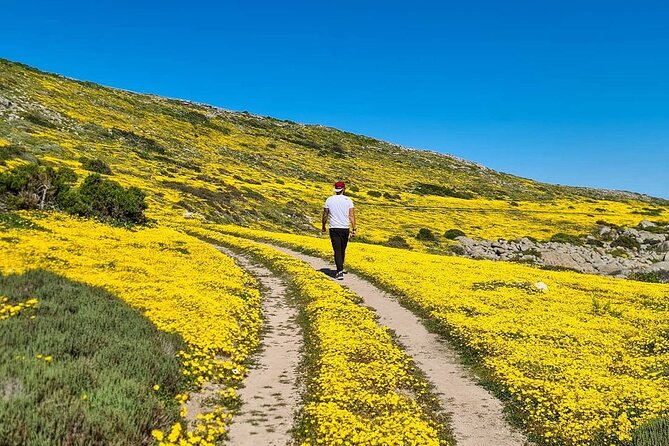 Cape West Coast Flower Tour - Kraalbaai Beach and the Langebaan Lagoon