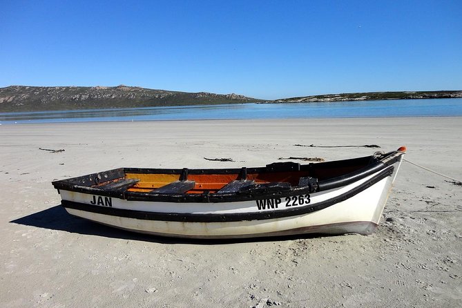 Cape West Coast Full Day Private Day Tour - West Coast National Park in flower season
