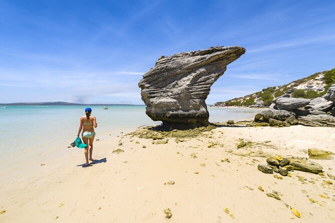 Cape West Coast Full Day Private Day Tour - West Coast Fossil Park and five million years of the past