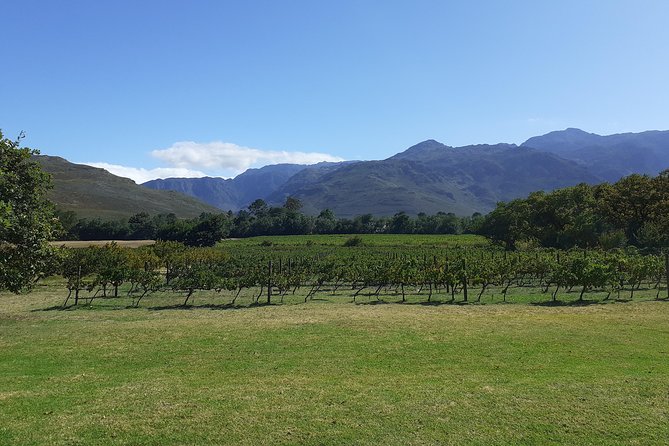 Cape Winelands and Wine Tasting Full Day Tour - A full day across three Cape Winelands districts