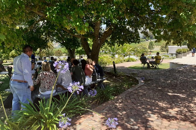 Cape Winelands and Wine Tasting Full Day Tour - Fairview Wine and Cheese in the Paarl Valley