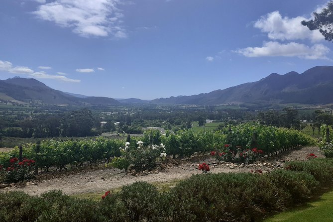 Cape Winelands and Wine Tasting Full Day Tour - Stellenbosch and its oak-lined streets