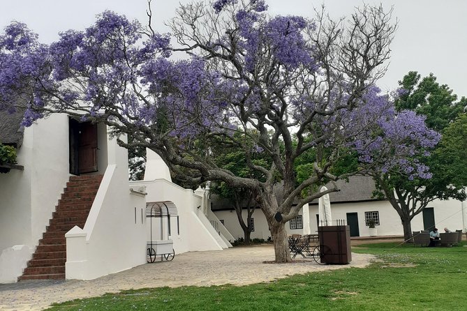 Cape Winelands and Wine Tasting Full Day Tour - Food, wine, and pacing advice