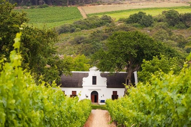 Cape Winelands and Wine Tasting Full Day Tour - Eikenhof and a smaller family farm in Franschhoek
