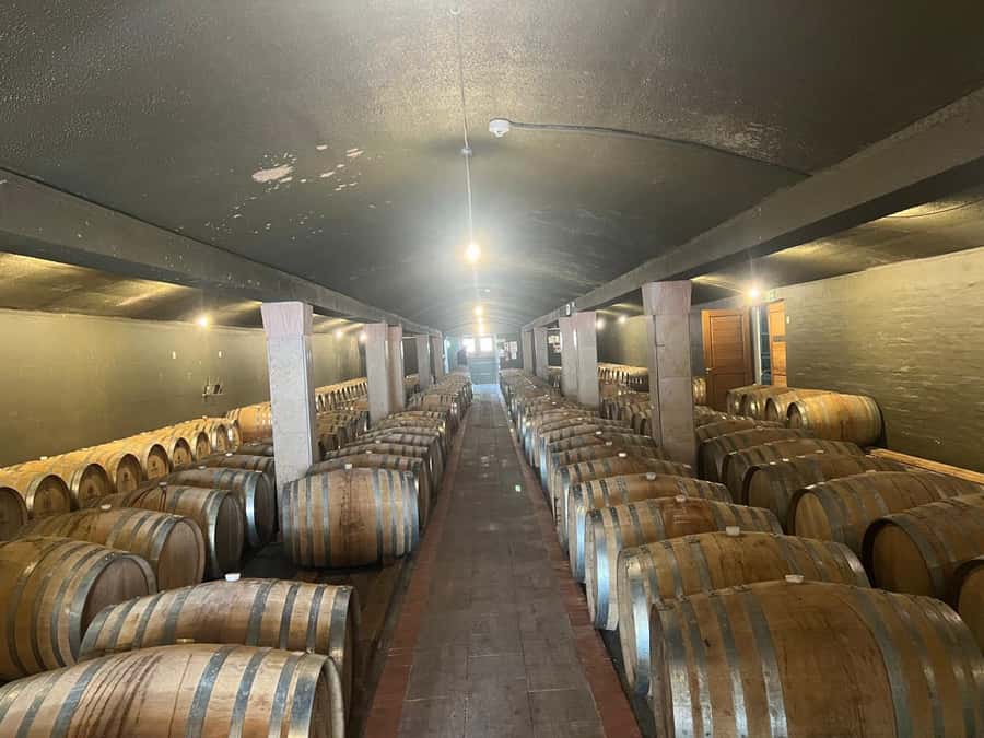Cape Winelands Experience: Paarl, Stellenbosch & Franschhoek - What this full-day Winelands tour actually gives you