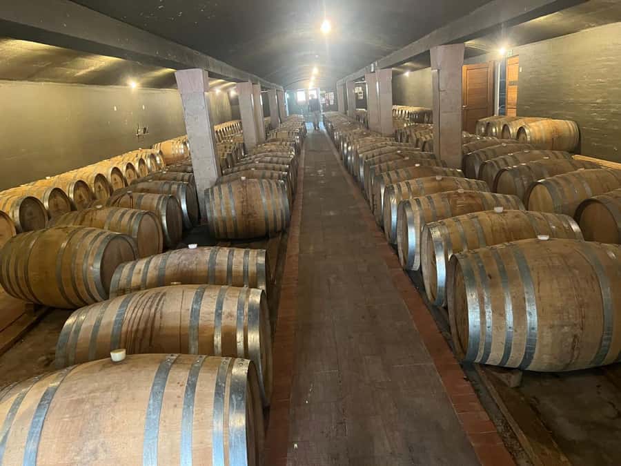 Cape Winelands Experience: Paarl, Stellenbosch & Franschhoek - Fairview in Paarl: cheese makes the first tasting memorable