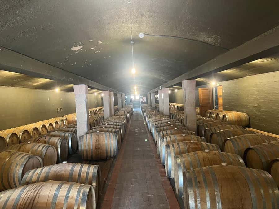 Cape Winelands Experience: Paarl, Stellenbosch & Franschhoek - Starting in Cape Town with an easy pickup