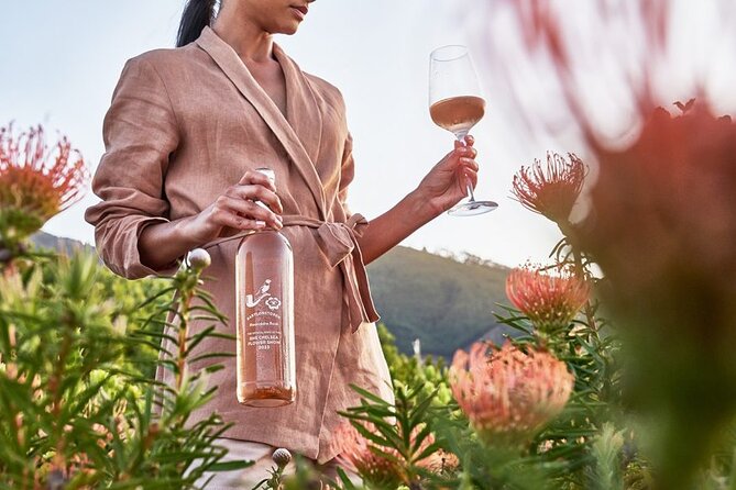 Cape Winelands Explore Full Day Tour with Private Transfer - What the $241.56 price really buys