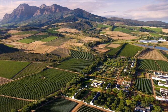 Cape Winelands Explore Full Day Tour with Private Transfer - Fairview brings cheese into the tasting room