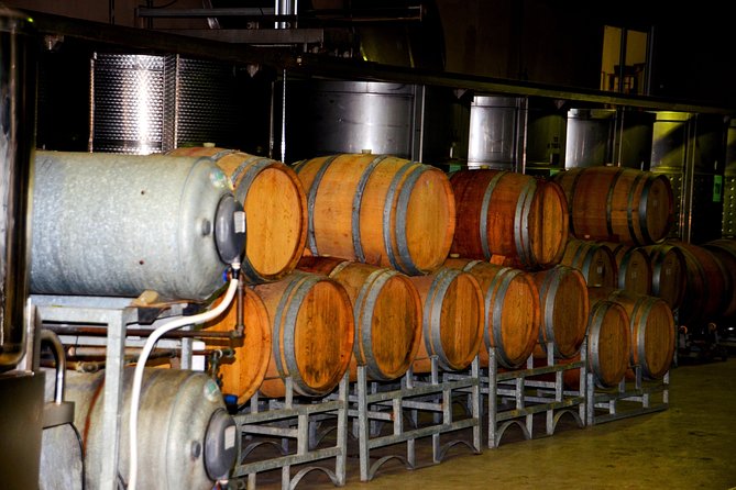 Cape Winelands group tour - Paarl opens with mountain views and cheese