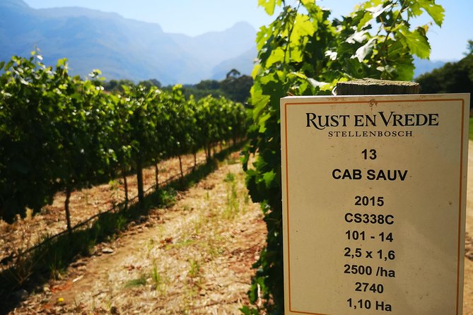Cape Winelands Stellenbosch Franschhoek Paarl Tour from Cape Town - What the three winery visits actually offer