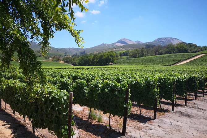 Cape Winelands Stellenbosch Franschhoek Paarl Tour from Cape Town - Price, timing, and what you still need to pay