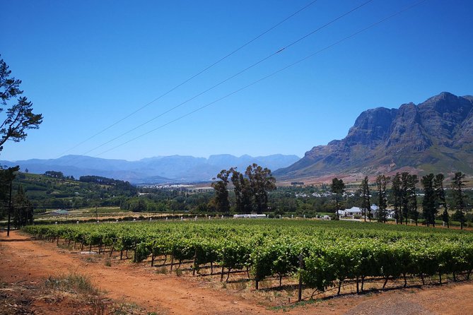 Cape Winelands Stellenbosch Franschhoek Paarl Tour from Cape Town - Who will enjoy this day most