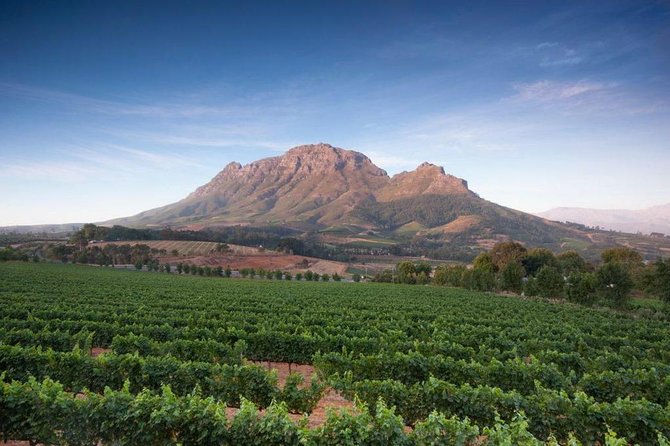 Cape Winelands Tour - Language and guide expectations