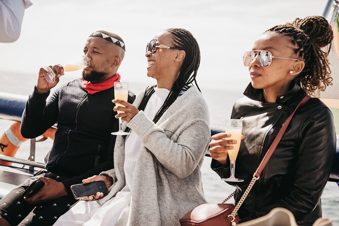 Catamaran Cruise and Sushi Experience in Cape Town - Looking for dolphins, whales, seals, and penguins