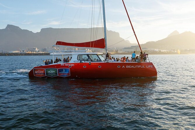Catamaran Sunset Champagne Cruise Cape Town - What the 90-minute cruise feels like
