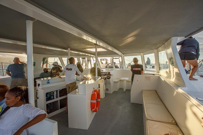 Catamaran Sunset Champagne Cruise Cape Town - Practical details before you book