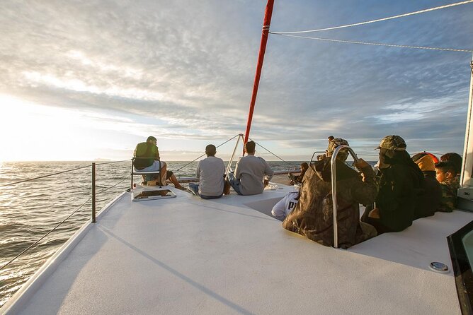Catamaran Sunset Champagne Cruise Cape Town - Watch the water for whales, dolphins, and penguins